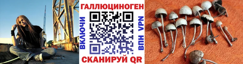 Псилоцибиновые грибы ЛСД  дарк нет формула  Грайворон  где продают  